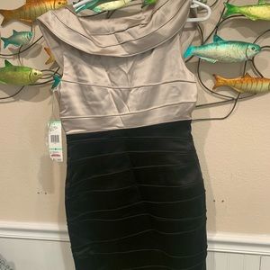 Neat Jones  New York size 10 dress